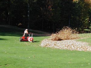 Fall Cleanup