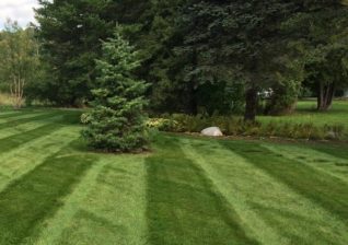 Recently Mowed Lawn